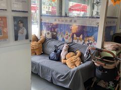 -芭比堂动物医院·心脏科·老年急重症·夜诊·吉雅分院