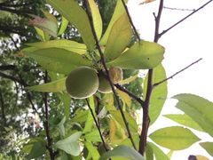 陈行公园-陈行公园