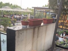 -蘇河湾·新鲁菜·泰山宴(泰山店)