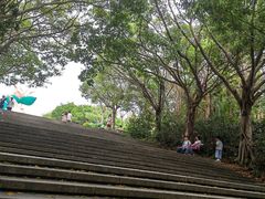 -深圳国际园林花卉博览园