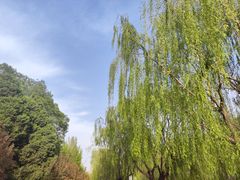 -元大都城垣遗址公园