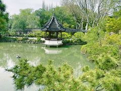 -上海醉白池公园