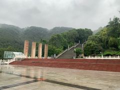 -铁山坪森林公园