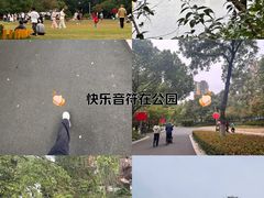 -青枫公园