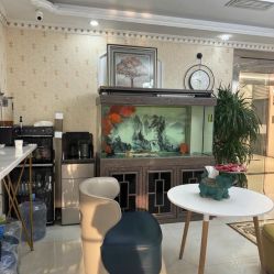 -安院长·产后恢复·徒手骨盆(先天下店)