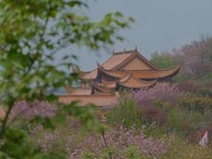 -四明山国家森林公园