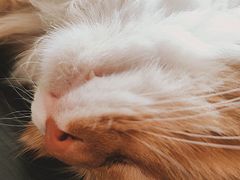 -平行世界·猫咖(首经贸店)