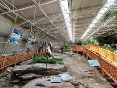 -中国第四纪冰川遗迹陈列馆