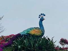 -东莞植物园