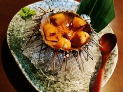 活海胆-千代武日本料理(哈西店)
