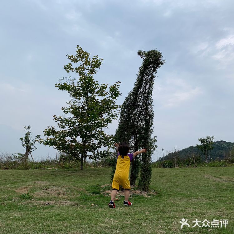 天然大氧吧与现代娱乐的兼容，