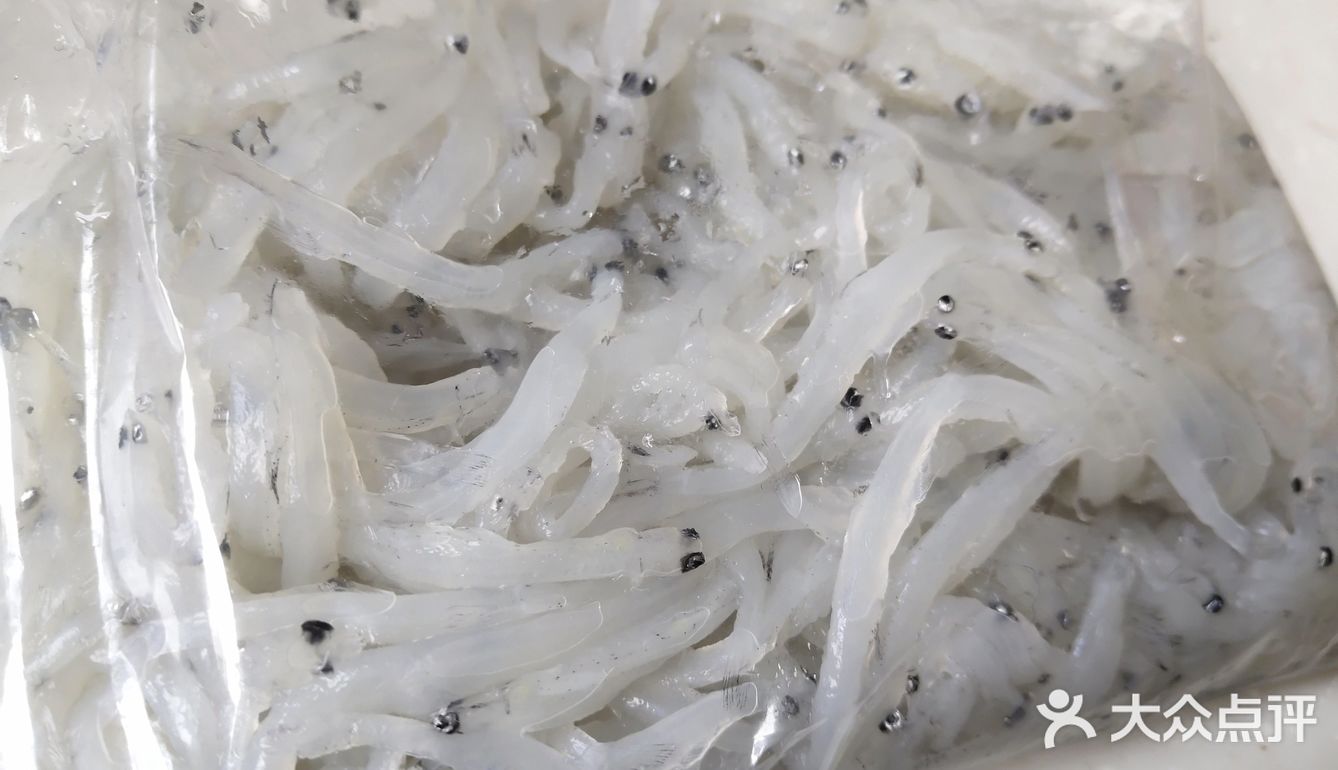 自己动手丰衣足食,超简单的银鱼煎蛋