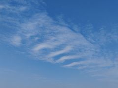 -野狸岛