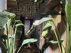 -邈墨茶馆(凤起路店)