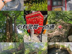 -潭柘寺景区