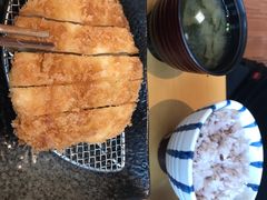 炸鸡排套餐-胜博殿日式炸猪排(西红门店)