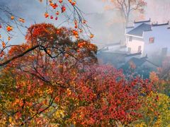 -塔川景区