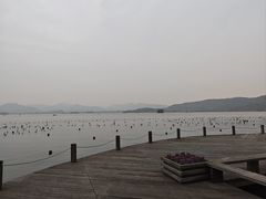 -西湖游船