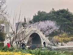 -团结湖公园