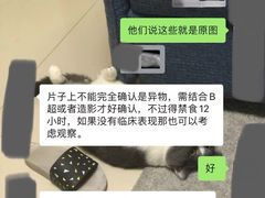-瑞鹏宠物医院·骨科·猫科·内科(第一中心)