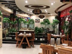 -老雒阳面馆·水席·洛阳菜(偃师店)
