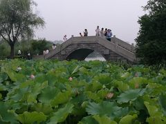 -高子水居
