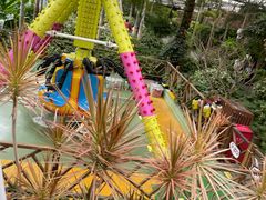 -南宫五洲植物乐园