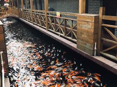 -侠成水上农庄(工业大道店)