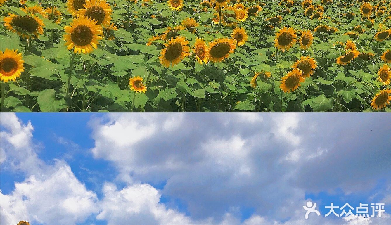 湖边还有小孩滑梯等娱乐设施