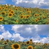 湖边还有小孩滑梯等娱乐设施