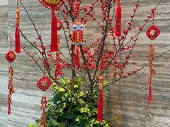 -白天鹅宾馆-宏图府餐厅