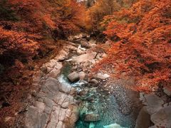 -光雾山旅游景区