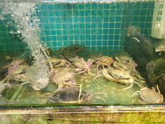 -船奇蒸汽海鲜·闽菜(八市海鲜总店)