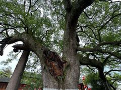 -新安江山水画廊风景区
