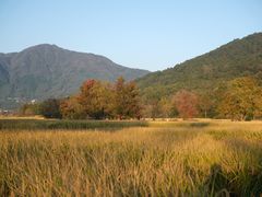 -塔川景区