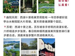 -西湖文化广场