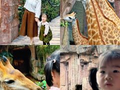-长鹿旅游休博园