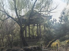-二一九公园