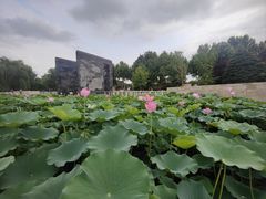 -石家庄市植物园