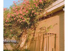 -大宁灵石公园西门票处