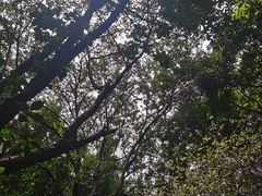 -湖泉半山温泉