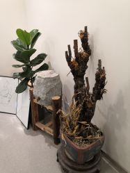 -康颜SPA自然疗愈皮肤管理中心