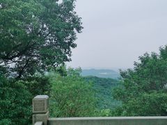 -八卦田遗址公园