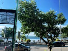 -野菌皇海景野生菌火锅(滨海大道店)