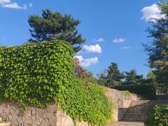 -莫子山公园