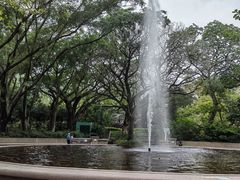 -九龙公园