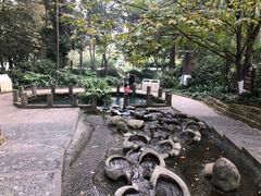 -成都市活水公园