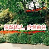 旅行攻略：古金陵四十八景之燕子矶