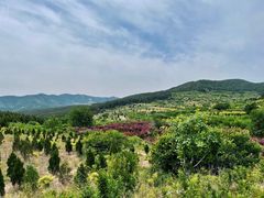 -龙洞风景区-藏龙涧