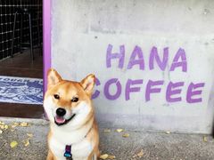 -HANA COFFEE(长寿路店)